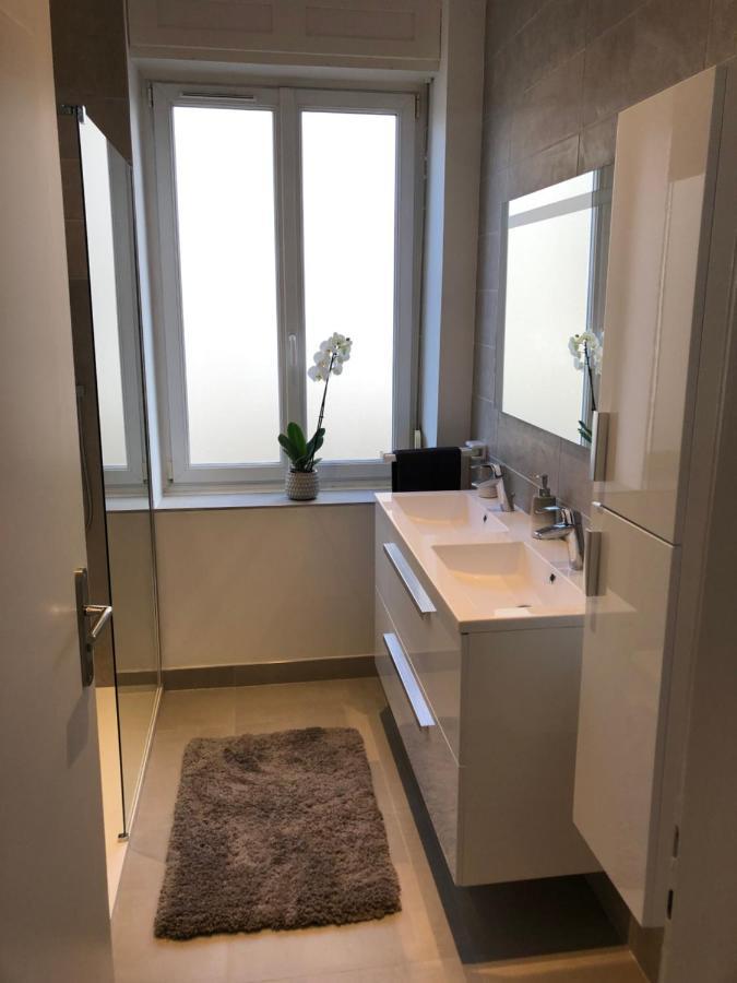 קולמר Appartement De Prestige Au Centre Climatise Avec Jardin Prive מראה חיצוני תמונה