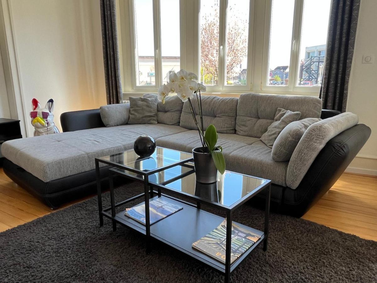 קולמר Appartement De Prestige Au Centre Climatise Avec Jardin Prive מראה חיצוני תמונה