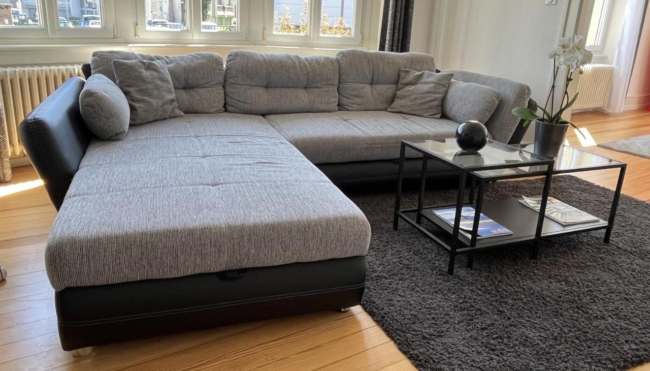 קולמר Appartement De Prestige Au Centre Climatise Avec Jardin Prive מראה חיצוני תמונה