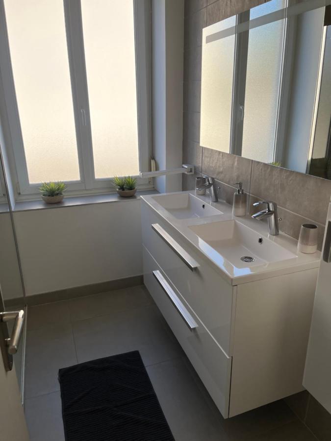 קולמר Appartement De Prestige Au Centre Climatise Avec Jardin Prive מראה חיצוני תמונה