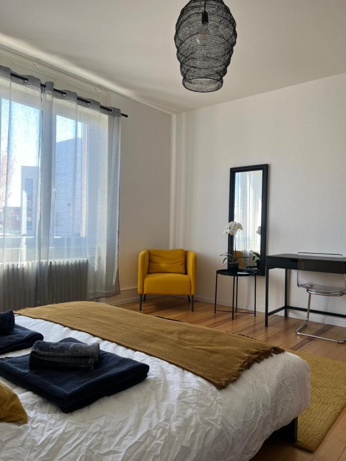 קולמר Appartement De Prestige Au Centre Climatise Avec Jardin Prive מראה חיצוני תמונה