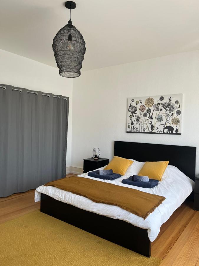 קולמר Appartement De Prestige Au Centre Climatise Avec Jardin Prive מראה חיצוני תמונה