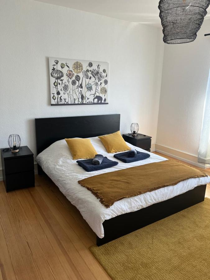 קולמר Appartement De Prestige Au Centre Climatise Avec Jardin Prive מראה חיצוני תמונה