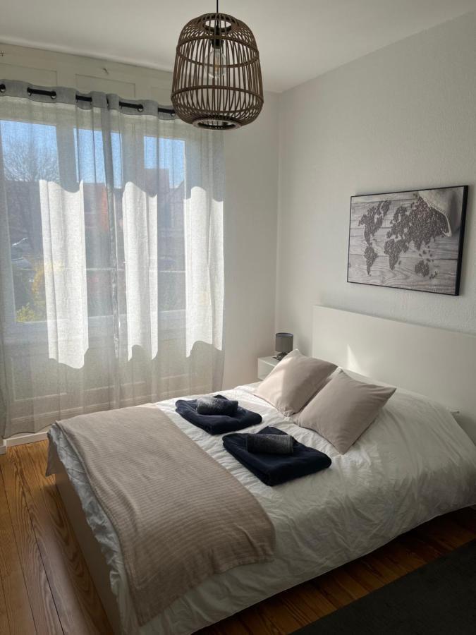 קולמר Appartement De Prestige Au Centre Climatise Avec Jardin Prive מראה חיצוני תמונה