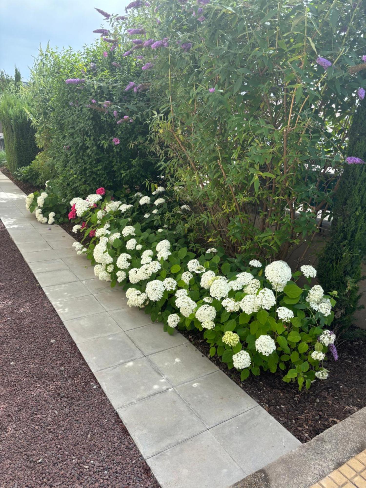 קולמר Appartement De Prestige Au Centre Climatise Avec Jardin Prive מראה חיצוני תמונה